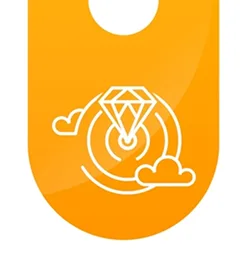 ourvalues gowravam website